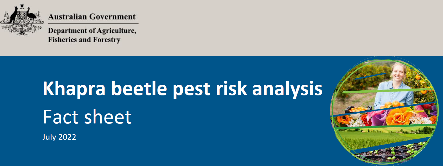 Khapra beetle pest risk analysis