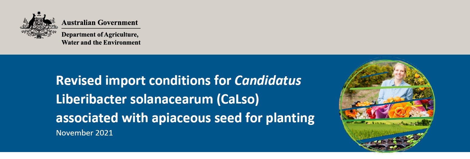 Revised import conditions for Candidatus Liberibacter solanacearum