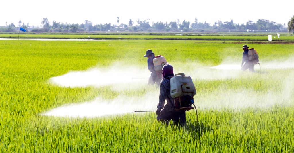 Scientists report that pesticide poisonings on farms around the world have risen dramatically since the last global assessment 30 years ago