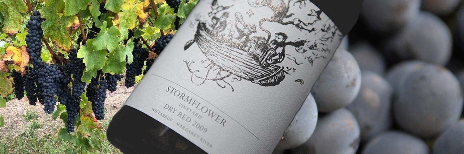 Stormflower Vineyard